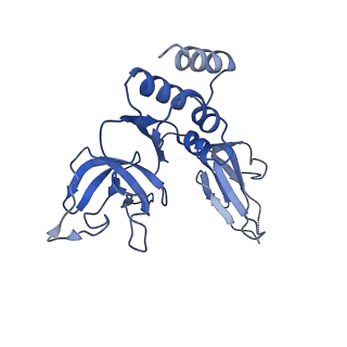 7808_6d6q_G_v1-3
Human nuclear exosome-MTR4 RNA complex - overall reconstruction