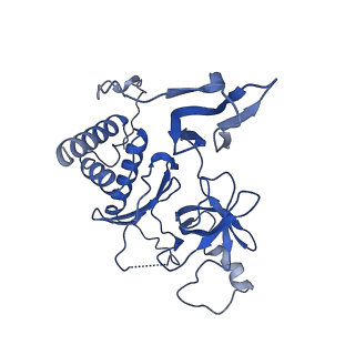 7808_6d6q_H_v1-2
Human nuclear exosome-MTR4 RNA complex - overall reconstruction