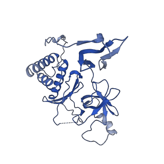 7808_6d6q_H_v1-3
Human nuclear exosome-MTR4 RNA complex - overall reconstruction