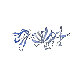 7808_6d6q_I_v1-2
Human nuclear exosome-MTR4 RNA complex - overall reconstruction