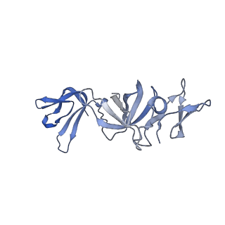 7808_6d6q_I_v1-3
Human nuclear exosome-MTR4 RNA complex - overall reconstruction