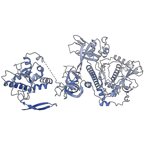 7808_6d6q_K_v1-2
Human nuclear exosome-MTR4 RNA complex - overall reconstruction