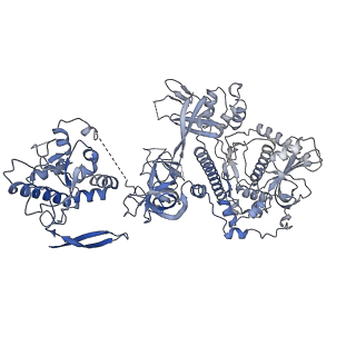 7808_6d6q_K_v1-3
Human nuclear exosome-MTR4 RNA complex - overall reconstruction