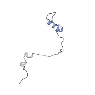7808_6d6q_L_v1-2
Human nuclear exosome-MTR4 RNA complex - overall reconstruction