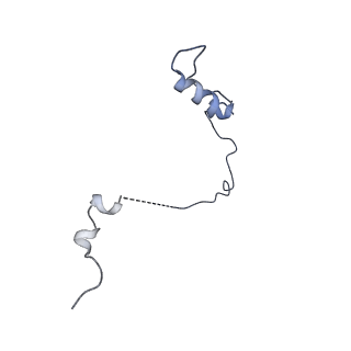 7808_6d6q_L_v1-3
Human nuclear exosome-MTR4 RNA complex - overall reconstruction