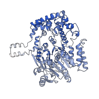 7808_6d6q_M_v1-2
Human nuclear exosome-MTR4 RNA complex - overall reconstruction