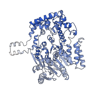 7808_6d6q_M_v1-3
Human nuclear exosome-MTR4 RNA complex - overall reconstruction