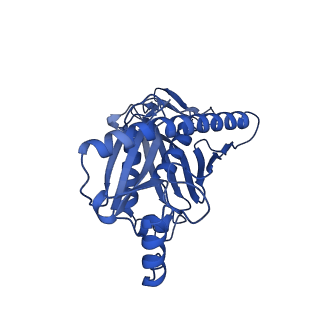 7809_6d6r_A_v1-2
Human nuclear exosome-MTR4 RNA complex - composite map after focused reconstruction