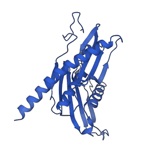 7809_6d6r_B_v1-3
Human nuclear exosome-MTR4 RNA complex - composite map after focused reconstruction