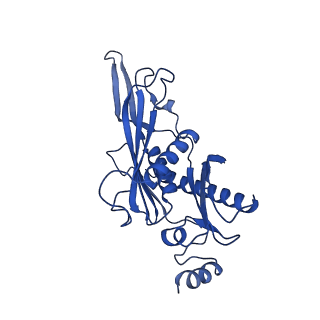 7809_6d6r_C_v1-3
Human nuclear exosome-MTR4 RNA complex - composite map after focused reconstruction