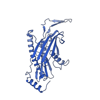 7809_6d6r_E_v1-3
Human nuclear exosome-MTR4 RNA complex - composite map after focused reconstruction