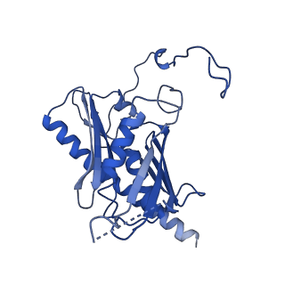 7809_6d6r_F_v1-2
Human nuclear exosome-MTR4 RNA complex - composite map after focused reconstruction