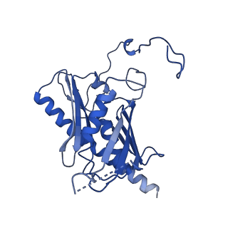 7809_6d6r_F_v1-3
Human nuclear exosome-MTR4 RNA complex - composite map after focused reconstruction