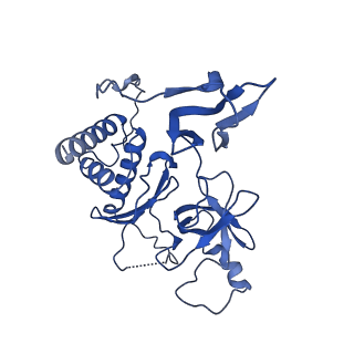 7809_6d6r_H_v1-3
Human nuclear exosome-MTR4 RNA complex - composite map after focused reconstruction