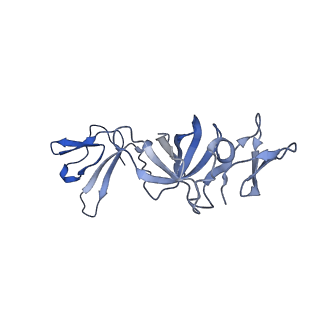 7809_6d6r_I_v1-3
Human nuclear exosome-MTR4 RNA complex - composite map after focused reconstruction