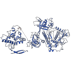 7809_6d6r_K_v1-3
Human nuclear exosome-MTR4 RNA complex - composite map after focused reconstruction