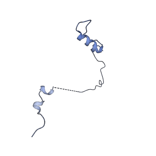 7809_6d6r_L_v1-2
Human nuclear exosome-MTR4 RNA complex - composite map after focused reconstruction