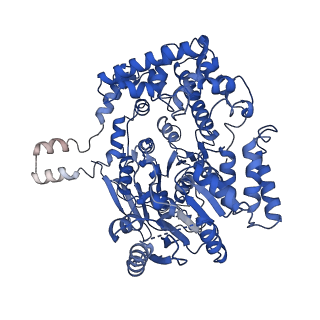 7809_6d6r_M_v1-2
Human nuclear exosome-MTR4 RNA complex - composite map after focused reconstruction