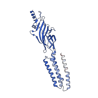 7816_6d6t_A_v1-4
Human GABA-A receptor alpha1-beta2-gamma2 subtype in complex with GABA and flumazenil, conformation B