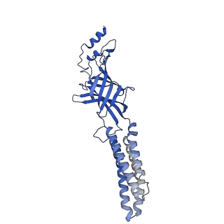 7816_6d6t_B_v1-4
Human GABA-A receptor alpha1-beta2-gamma2 subtype in complex with GABA and flumazenil, conformation B