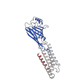 7816_6d6t_C_v1-4
Human GABA-A receptor alpha1-beta2-gamma2 subtype in complex with GABA and flumazenil, conformation B