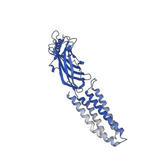 7816_6d6t_D_v1-4
Human GABA-A receptor alpha1-beta2-gamma2 subtype in complex with GABA and flumazenil, conformation B