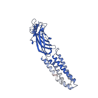 7816_6d6t_D_v3-0
Human GABA-A receptor alpha1-beta2-gamma2 subtype in complex with GABA and flumazenil, conformation B