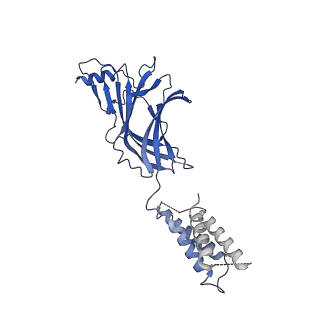 7816_6d6t_E_v1-4
Human GABA-A receptor alpha1-beta2-gamma2 subtype in complex with GABA and flumazenil, conformation B
