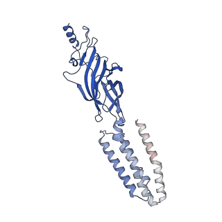 7817_6d6u_A_v1-4
Human GABA-A receptor alpha1-beta2-gamma2 subtype in complex with GABA and flumazenil, conformation A