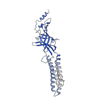 7817_6d6u_B_v1-4
Human GABA-A receptor alpha1-beta2-gamma2 subtype in complex with GABA and flumazenil, conformation A