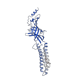 7817_6d6u_B_v2-0
Human GABA-A receptor alpha1-beta2-gamma2 subtype in complex with GABA and flumazenil, conformation A