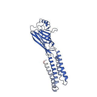 7817_6d6u_C_v1-4
Human GABA-A receptor alpha1-beta2-gamma2 subtype in complex with GABA and flumazenil, conformation A