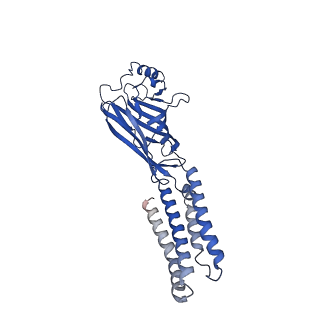 7817_6d6u_C_v3-0
Human GABA-A receptor alpha1-beta2-gamma2 subtype in complex with GABA and flumazenil, conformation A