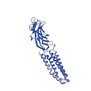 7817_6d6u_D_v1-4
Human GABA-A receptor alpha1-beta2-gamma2 subtype in complex with GABA and flumazenil, conformation A