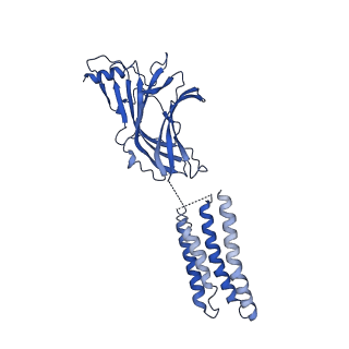 7817_6d6u_E_v1-4
Human GABA-A receptor alpha1-beta2-gamma2 subtype in complex with GABA and flumazenil, conformation A