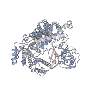 7821_6d6v_A_v1-2
CryoEM structure of Tetrahymena telomerase with telomeric DNA at 4.8 Angstrom resolution
