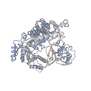 7821_6d6v_A_v1-3
CryoEM structure of Tetrahymena telomerase with telomeric DNA at 4.8 Angstrom resolution