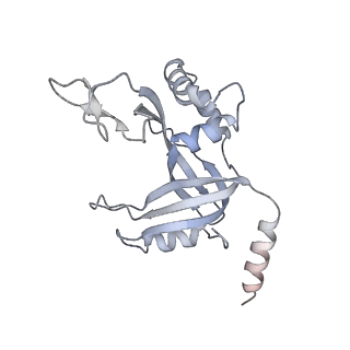 7821_6d6v_D_v1-2
CryoEM structure of Tetrahymena telomerase with telomeric DNA at 4.8 Angstrom resolution