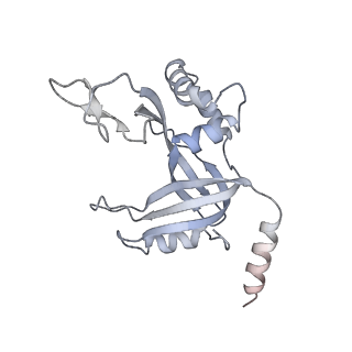 7821_6d6v_D_v1-3
CryoEM structure of Tetrahymena telomerase with telomeric DNA at 4.8 Angstrom resolution