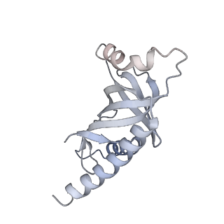 7821_6d6v_E_v1-2
CryoEM structure of Tetrahymena telomerase with telomeric DNA at 4.8 Angstrom resolution