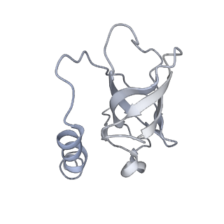 7821_6d6v_F_v1-2
CryoEM structure of Tetrahymena telomerase with telomeric DNA at 4.8 Angstrom resolution