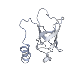 7821_6d6v_F_v1-3
CryoEM structure of Tetrahymena telomerase with telomeric DNA at 4.8 Angstrom resolution