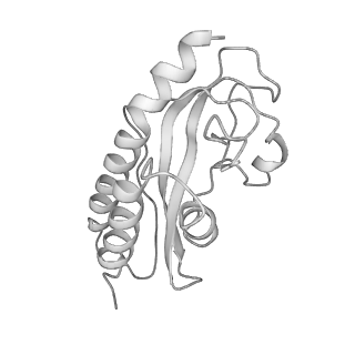 7821_6d6v_G_v1-2
CryoEM structure of Tetrahymena telomerase with telomeric DNA at 4.8 Angstrom resolution