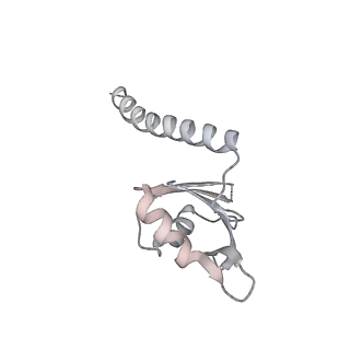 7821_6d6v_H_v1-3
CryoEM structure of Tetrahymena telomerase with telomeric DNA at 4.8 Angstrom resolution