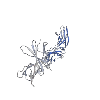27227_8d74_A_v1-0
Cryo-EM structure of human CNTF signaling complex: model containing the interaction core region