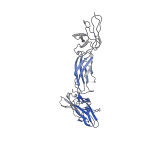 27227_8d74_B_v1-0
Cryo-EM structure of human CNTF signaling complex: model containing the interaction core region