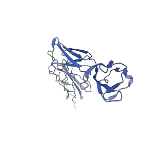 27228_8d7e_C_v1-0
Cryo-EM structure of human CNTFR alpha in complex with the Fab fragments of two antibodies