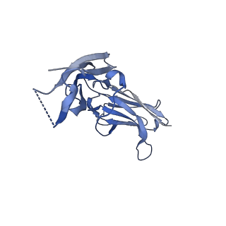 27228_8d7e_D_v1-0
Cryo-EM structure of human CNTFR alpha in complex with the Fab fragments of two antibodies