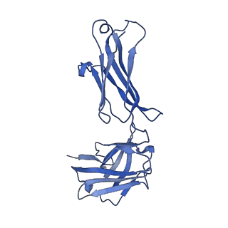27228_8d7e_F_v1-0
Cryo-EM structure of human CNTFR alpha in complex with the Fab fragments of two antibodies