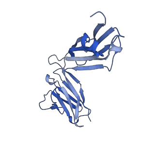 27228_8d7e_G_v1-0
Cryo-EM structure of human CNTFR alpha in complex with the Fab fragments of two antibodies